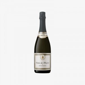 Quinta-Bageiras-Bruto-Natural-2020-Vinhedo