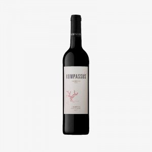 Kompassus-Colheita-Tinto-2018-Vinhedo