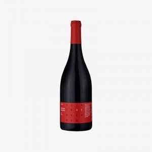 Quinta-Arcosso-Syrah-2017-Vinhedo