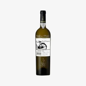 Quinta Bageiras Avo Fausto 2020 Vinhedo